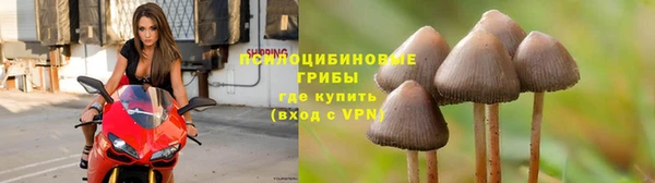 ALPHA PVP Вяземский