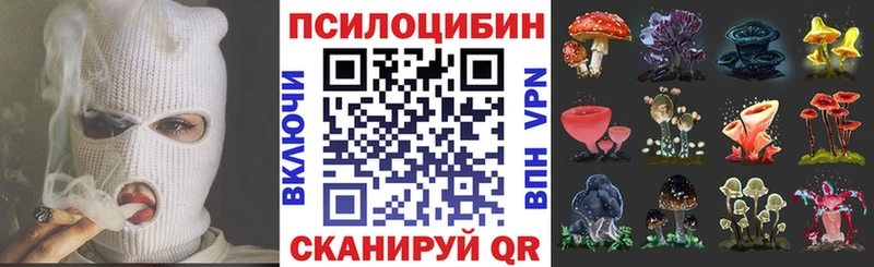 Купить  Белый  Галлюциногенные грибы мухоморы 