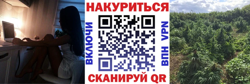 Канабис SATIVA & INDICA Купить где Белый
